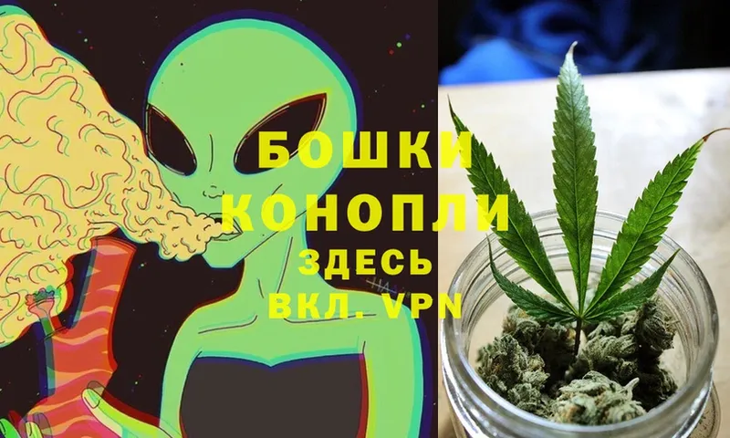 Бошки Шишки Ganja  Зверево 